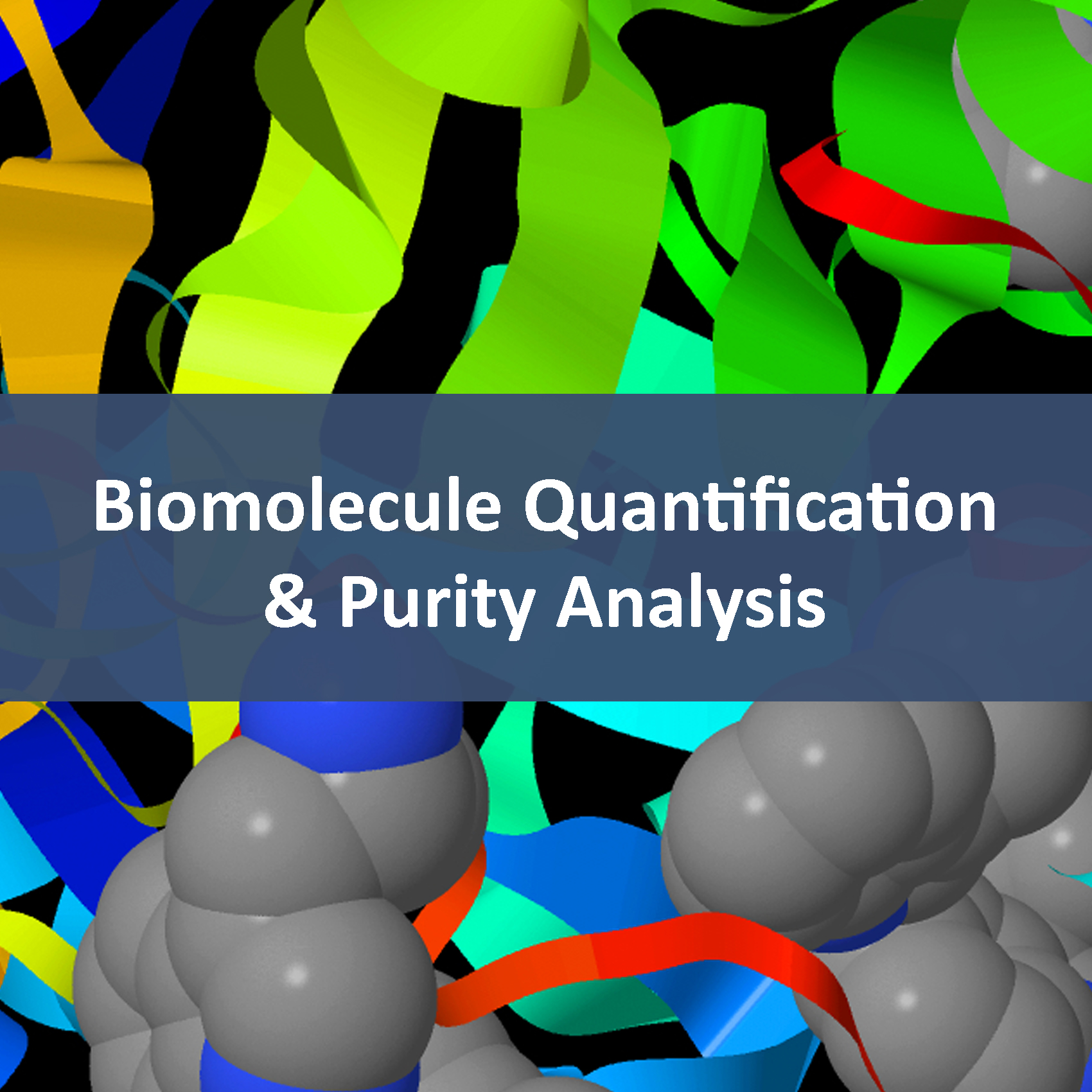 Biomolecule Quantification & Purity Analysis
