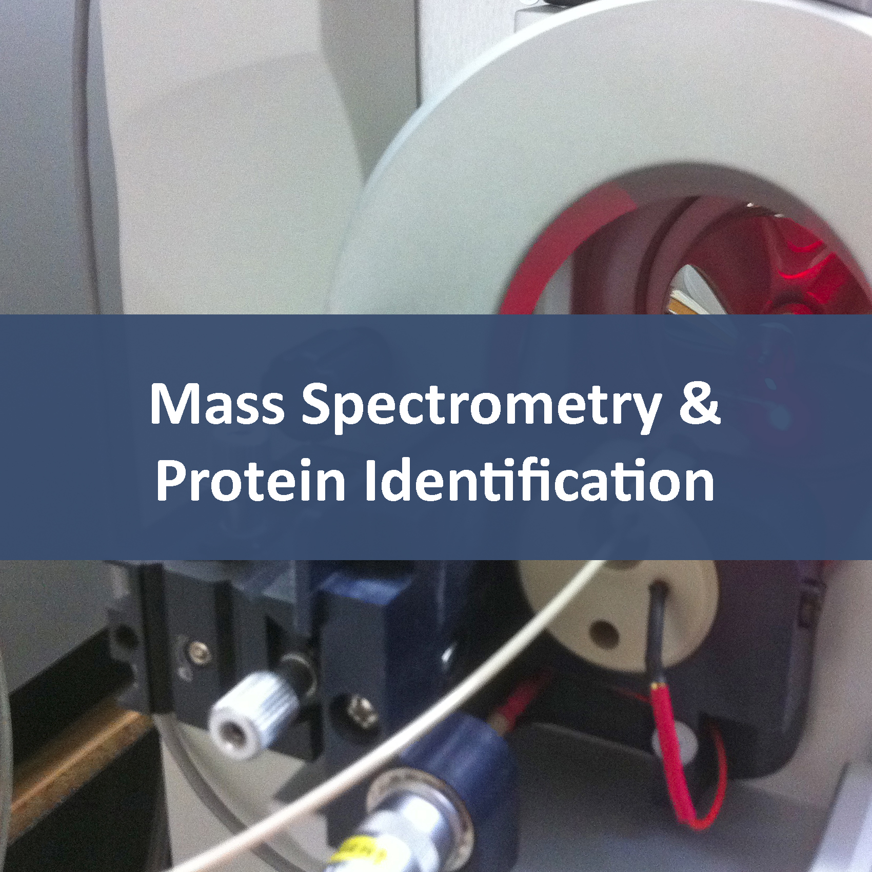 Mass Spectrometry & Protein Identification