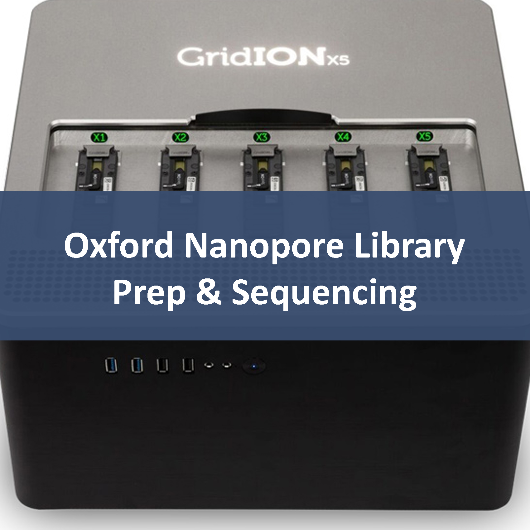 Oxford Nanopore Library Prep & Sequencing
