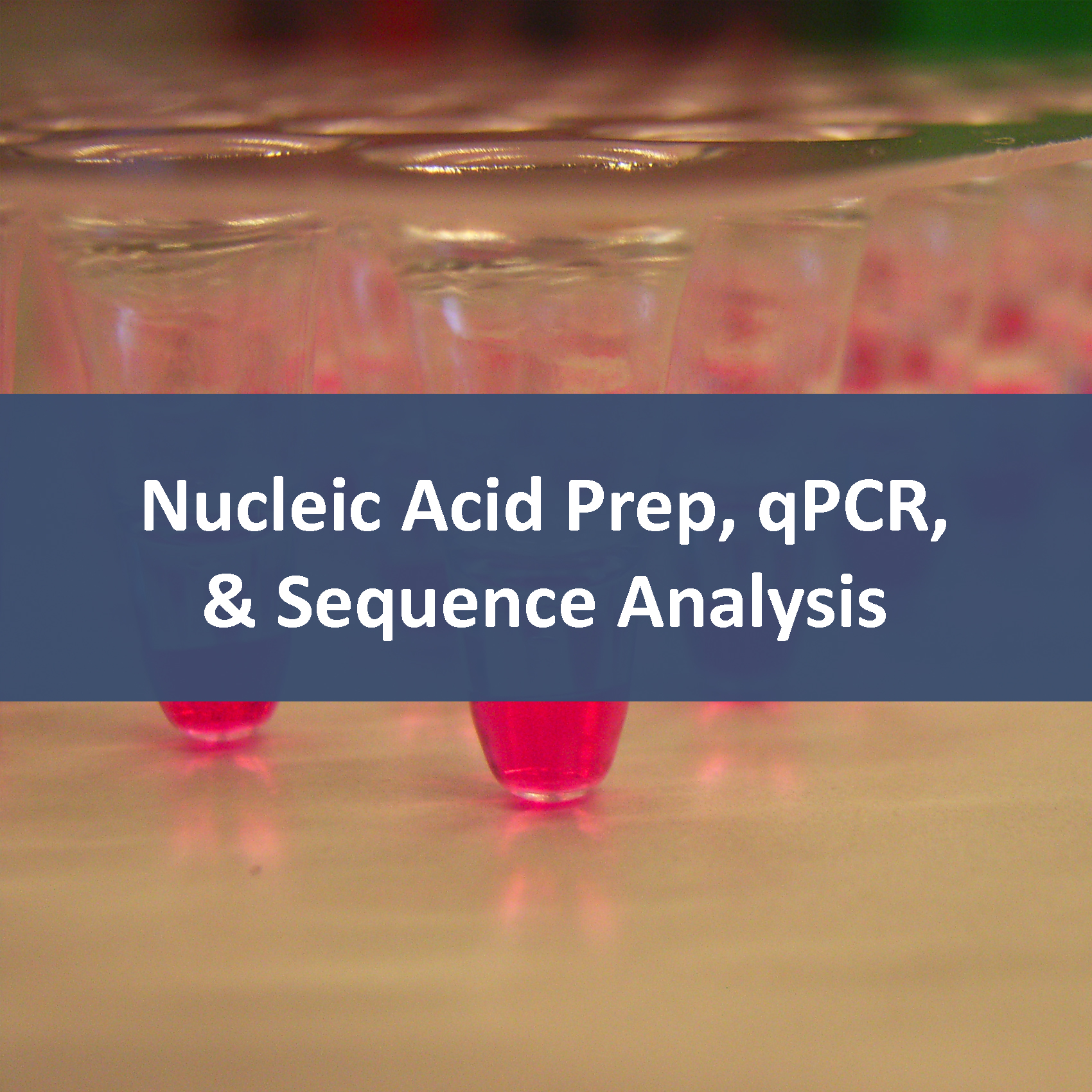Nucleic Acid Shearing, QPCR & Sequence Analysis