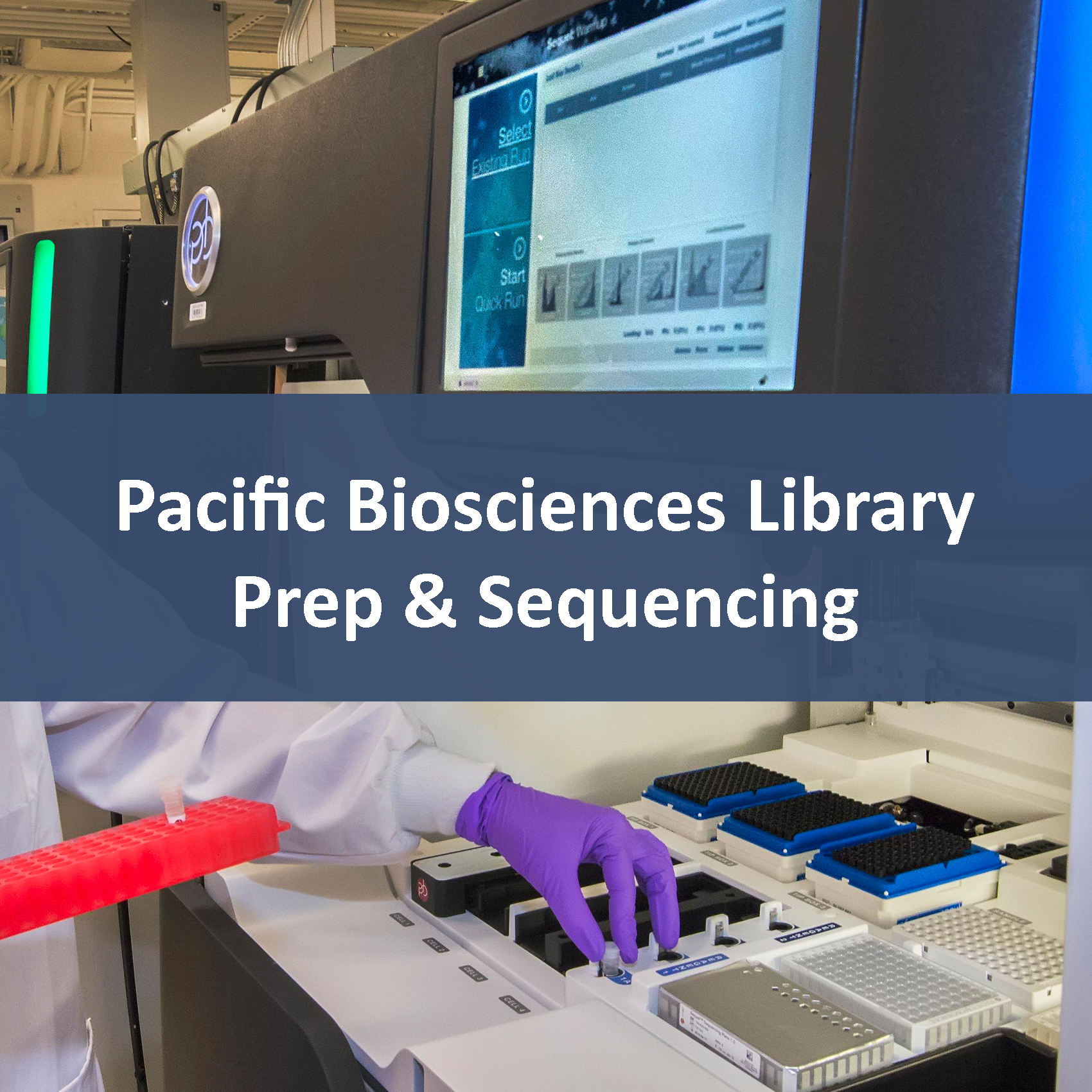 Pacific Biosciences Library Prep & Sequencing