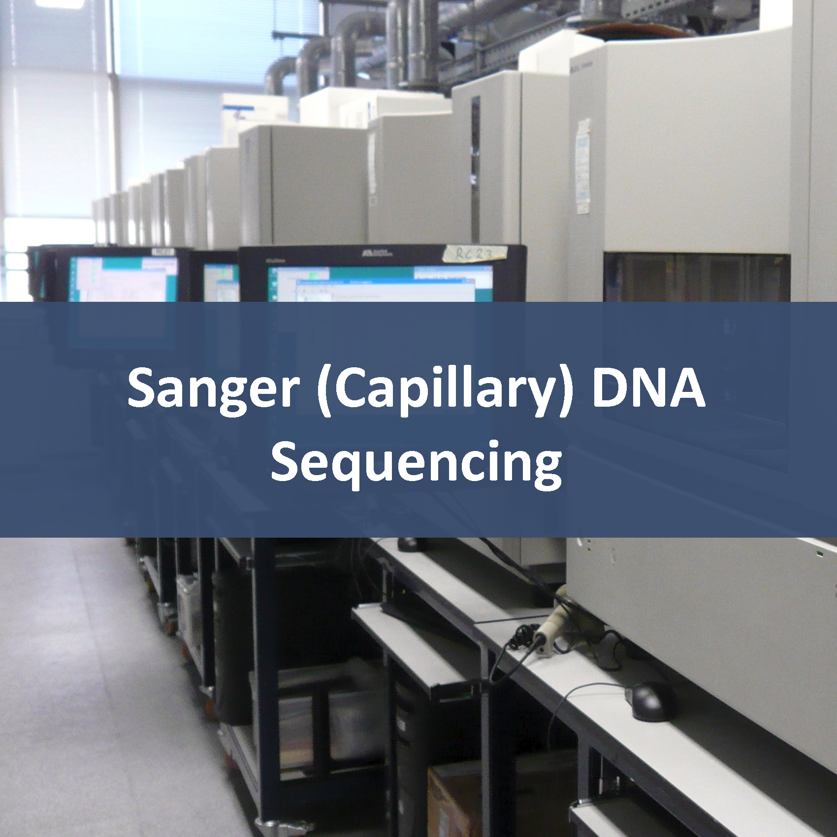 Sanger (ABI3720xl) DNA Sequencing
