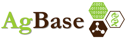 AgBase