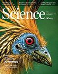 Science cover